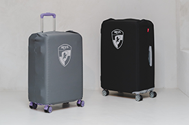 Luggage cover